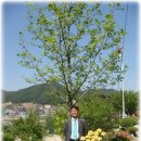 임계면지소 이미지