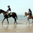 임자 관광안내소 이미지