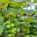 주라위삼거리 이미지