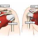 네온정형외과의원 이미지