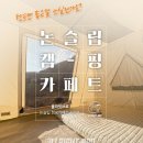 캠핑트렁크 이미지