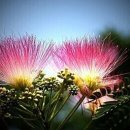 인생안경 이미지