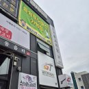 골든타켓