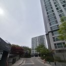 삼성마을3단지(시티프라디움) | 군포 삼성마을시티프라디움 실거래가