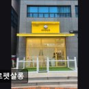 베르펫살롱 | (수원, 강아지, 고양이, 애견미용, 추천!) 베르펫살롱 애견미용 베르펫살롱, 안전한 관리