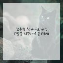 마음포근한의원 이미지