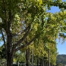 갓바위미술관 이미지