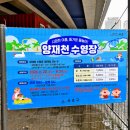 천동물놀이장 | 양재천 수영장 개장 첫날 방문 후기 | 서초구 아이와 가기 좋은 여름 물놀이장