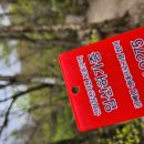 곰배령주차장 | 인제 곰배령 홈페이지 예약하기. 등산코스.등산시간.야생화 시기