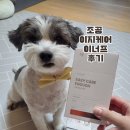 조공방 이미지