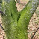 청태농장 이미지