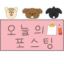 시원안경 이미지