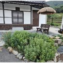 느린오후 이미지