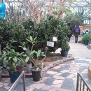 초록세상 이미지