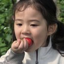 자연아이유치원어린이집 네이버블로그