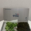 차윤산삼