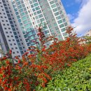 수면장애~~효도여행 이미지