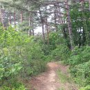 정감이마을 태양광발전소 이미지