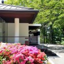 배프로골프 이미지