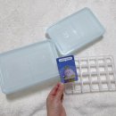 해테크예천7호 | 앱테크, 오늘의집 오늘의가든 가드닝게임,다섯번째 수확후기(땡스소윤,수확기간, 꿀팁)