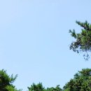 대봉산해안경관산책길 | [국립신시도자연휴양림] 군산 여행, 아이랑 4km 해안탐방로 산책하기(서해가 이렇게 예뻤나?)