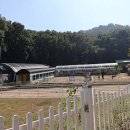 우농타조농장 이미지