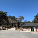 [여행일기] 속초 5박 6일 혼여행 (낙산사 뚜벅이 1)