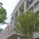 시계토끼 이미지