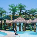 코코플레이존 이미지