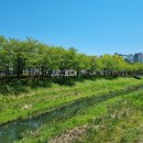 GS25경상희망점 | 진주 산책 추천 볼래로 문화거리 벚꽃명소 입니다.