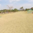 파크골프장1 이미지