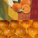 나은농장 이미지