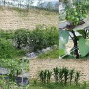 작은숲 펜션 이미지