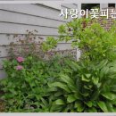 꽃피는집