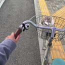 삼악산민박 | [일상] 2023년 10월-2