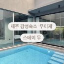 제주 함덕 감성숙소 &#39;무이재 - 스테이 무&#39; 숙박 후기 /제주 풀빌라