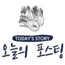 에이스미용재료
