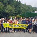 도림사계곡 이미지