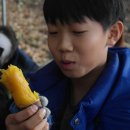 향미마을 이미지