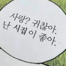 수원-1891 | w.5-1 | 스튜디오 촬영 이모저모! 조화 센터피스 / 조화부케 대여 및 제작 (호아비플라워, 포겟실크...