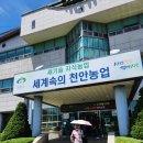 천안 농업 기술 센터 "우리 쌀 활용 소비 촉진 기술 교육" 전통떡 만들기 후기