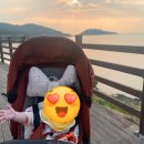 영광대교화장실 이미지