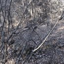 판암동240 이미지