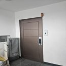 강남-243 이미지