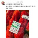 장희농장 이미지