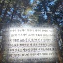 미화상회 | 팩트풀니스 책 | 한스 로슬링 책 후기 | 불안이라는 안개를 걷어내는 가장 우아한 도구 추천 리뷰 핵심...