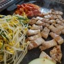 조선도야지 이미지