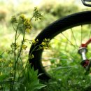 하동포구공원2 이미지