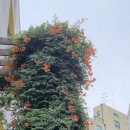 을지다락 - 영등포구 | 을지다락