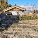 초전면사무소 이미지